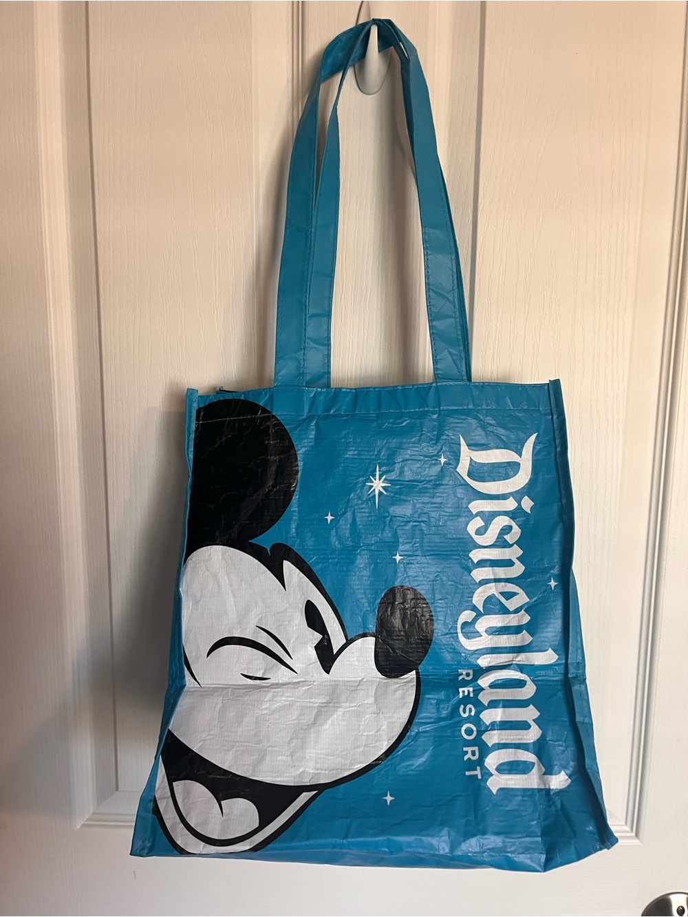 Disneyland Resort Theme Park Reusable Mickey Mouse Shopping Bag Tote Blue